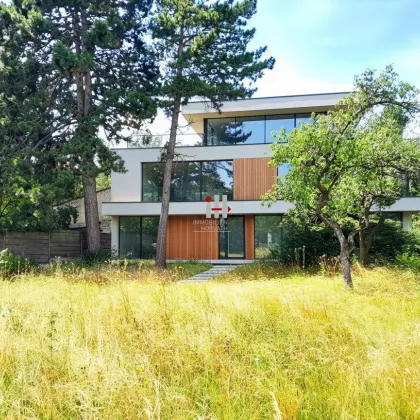 Ideales Baugrundstück für Ihren Wohntraum in Liesing - Bild 3