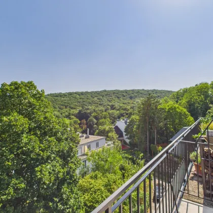 wunderschöne 3-Zimmer-Wohnung mit zwei Terrassen im 18ten, grüner Panoramablick über Wien! - Bild 2