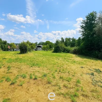 Neuer Preis! 1060m² Baugrundstück ohne Bauzwang in Weibern/Pesendorf - Bild 3