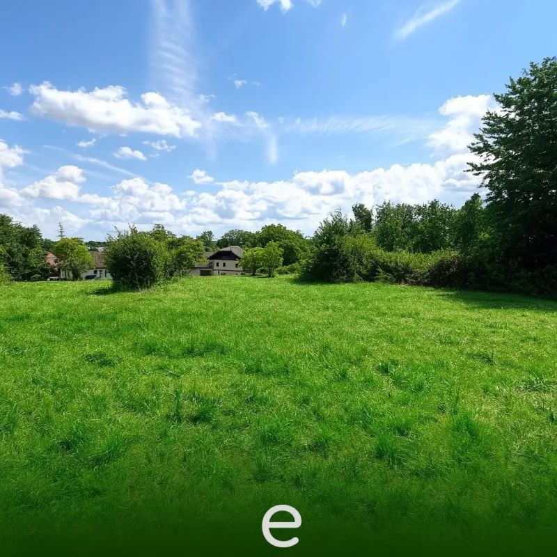 Neuer Preis! 1060m² Baugrundstück ohne Bauzwang in Weibern/Pesendorf - Bild 1