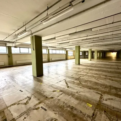 1 Monat mietfrei! Provisionsfreie Lagerflächen ab 200 m² zu vermieten - Bild 3