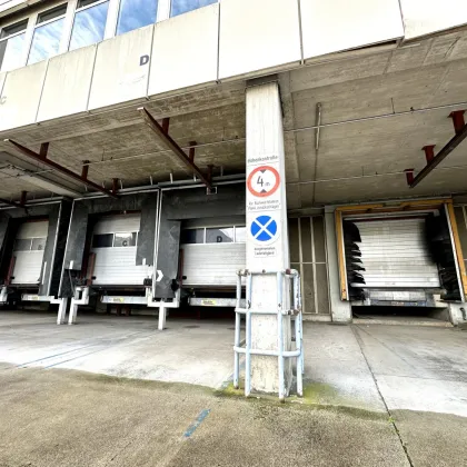 Provisionsfreie Lagerflächen ab 200 m² zu vermieten - 1 Monat mietfrei! - Bild 3