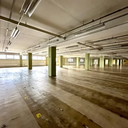 Lagerflächen ab 200 m² zu vermieten - 1 Monat mietfrei - Provisionsfrei! - Bild 3