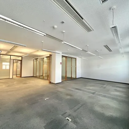 360 TOUR // BÜROFLÄCHEN im RESIDENZPALAST - Bild 3