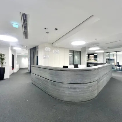 360 TOUR // BÜROFLÄCHEN im RESIDENZPALAST - Bild 2