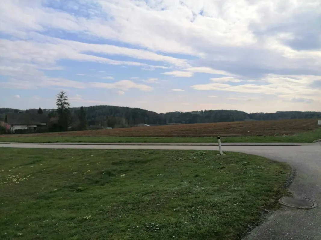 Bauträger aufgepasst! Attraktives BAUPROJEKT in SINABELKIRCHEN - Bild 1