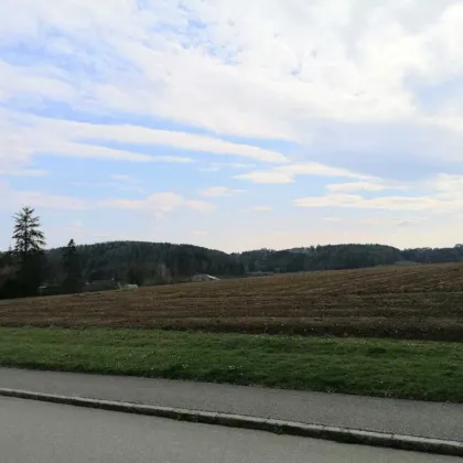 Bauträger aufgepasst! Attraktives BAUPROJEKT in SINABELKIRCHEN - Bild 2