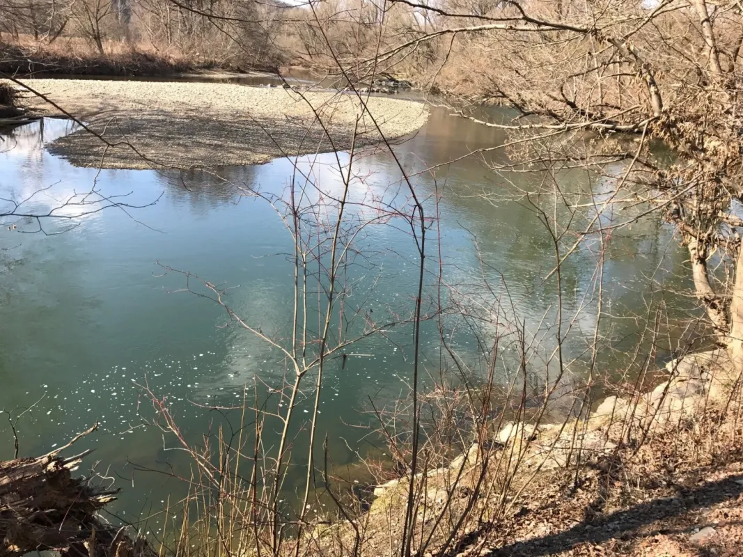 4 exklusive Bauplätze für Ein-und Zweifamilienhäuser (Doppelhäuser) in Wagna  direkte Nähe zum Naherholungsgebiet Silberwald   * Provisionsfrei* - Bild 1