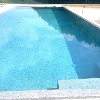 Arnfels, Gewerbeobjekt gemischt, Hallen, Büro, Wohnungen, Penthäuser mit Pool, Top Lage, Anleger - Bild 2