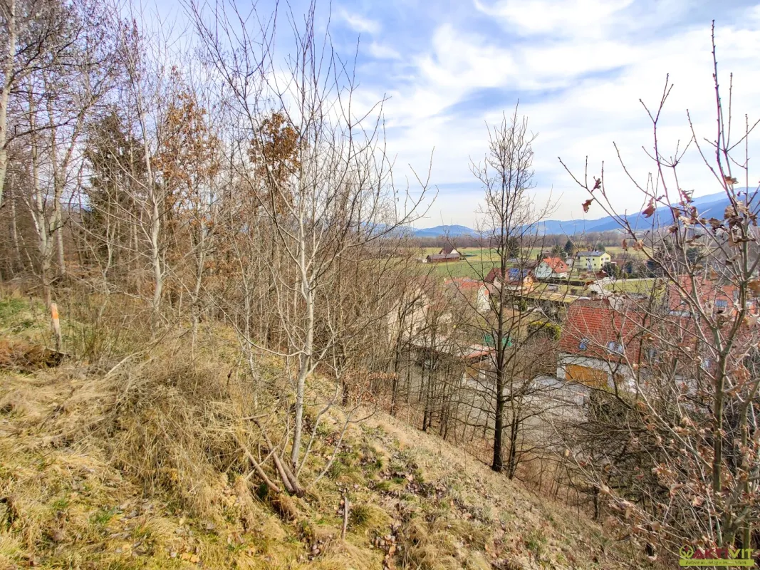 Großzügiges Baugrundstück mit Potenzial. - Teilbar und bis zu 1.450 m² Bruttogeschoßfläche realisierbar. - Bild 1