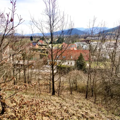 Großzügiges Baugrundstück mit Potenzial. - Teilbar und bis zu 1.450 m² Bruttogeschoßfläche realisierbar. - Bild 2