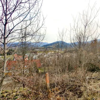 Großzügiges Baugrundstück mit Potenzial. - Teilbar und bis zu 1.450 m² Bruttogeschoßfläche realisierbar. - Bild 3