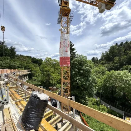 Modernes Wohnen in Naturnähe | MARIHOF - Bild 3