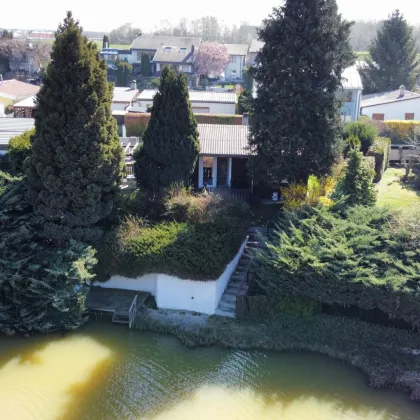 STEINBRUNN – SEE III a Idyllisches, renoviertes Seehaus am Leopoldinen See auf Pachtgrund zu verkaufen - Bild 3