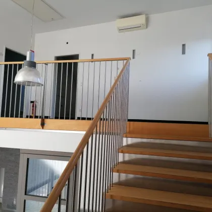 Büro- oder Praxisräumlichkeiten in Wagna - Bild 2
