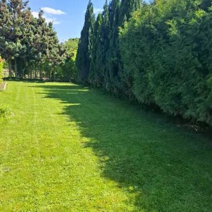 Sommer Aktion!! Idyllisches Ferienhaus in Klosterneuburg – Ihr Rückzugsort für 169.000 € 465m² Grund - Bild 3