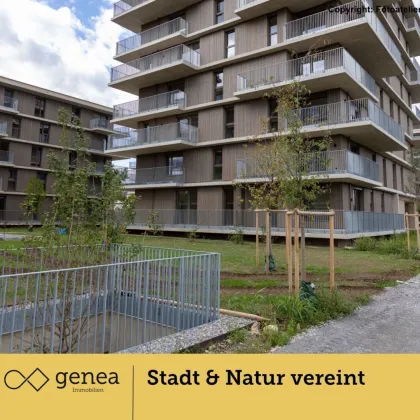 Ihr Traumdomizil in JV Haus K | Provisionsfrei | Zeitgenössisches Wohnen in Graz - Bild 3