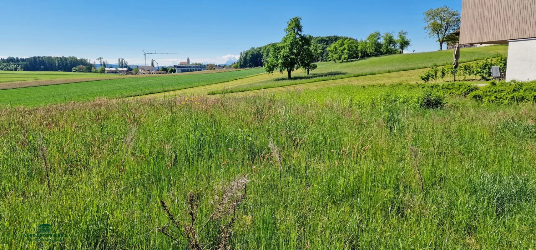 Sonniger Baugrund am Grünland, 30 km nördlich von Salzburg - Bild 1
