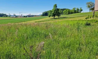 Sonniger Baugrund am Grünland, 30 km nördlich von Salzburg