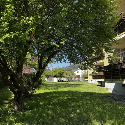 Zentrale Mietwohnungen in Bruck an der Mur verfügbar! - Bild 2