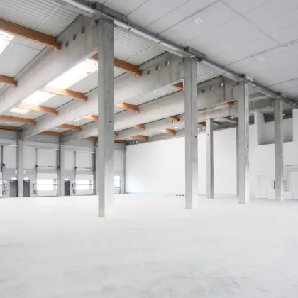 Lagerhalle 860 m2 + Büro 340 m2 Kombination südlich von Wien in Wr. Neudorf - Bild 2