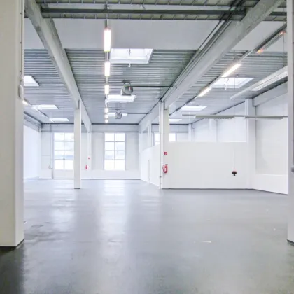 Lagerhalle 860 m2 + Büro 340 m2 Kombination südlich von Wien in Wr. Neudorf - Bild 3