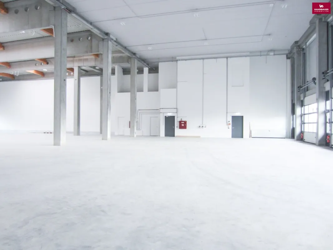 Lagerhalle 860 m2 + Büro 340 m2 Kombination südlich von Wien in Wr. Neudorf - Bild 1