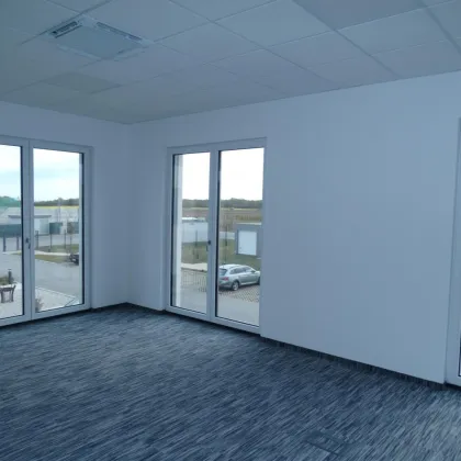 MIETBÜRO Nr.6 im 1.OG - SÜDLAGE - Bild 2
