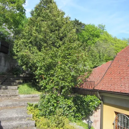 Traumhaftes Atrium-Einfamilienhaus in Baden – 5 Zimmer, Garten & Terrassen beim Kurpark von Baden! - Bild 3