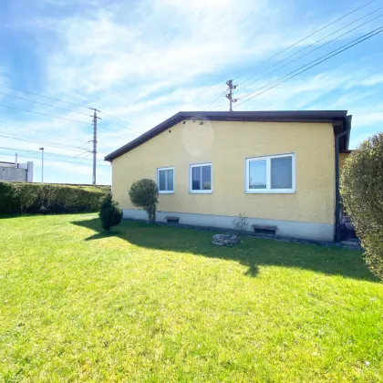 Älterer, aber gepflegter Bungalow mit großem Wintergarten - Bild 3