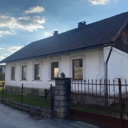 *****Großes Grundstück mit altem Einfamilienhaus***** - Bild 3