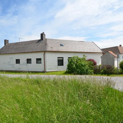CHRISTOPH CHROMECEK IMMOBILIEN - BAD VÖSLAU / Großau - Zweifamilienhaus mit Werkstatt und Garage! - Bild 3