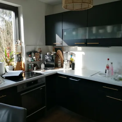 K3- Bungalow in  Klagenfurt/Annabichl - Bild 2