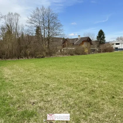 Perfekt geformtes Baugrundstück in Grub im Wienerwald - Absolute Ruhelage! - Bild 3