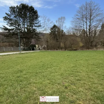 Perfekt geformtes Baugrundstück in Grub im Wienerwald - Absolute Ruhelage! - Bild 2