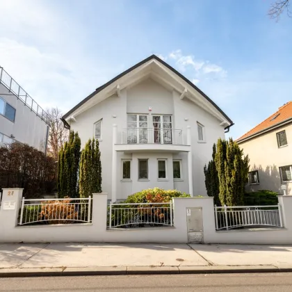 NEUBAU VILLA AUS 1997 II ROTER BERG II GARAGE II SAUNA II NEUE PV-ANLAGE II 6 ZIMMER II 4 BÄDER II 54m² WOHNZIMMER MIT KAMIN II 2 TERRASSEN II BALKON II GARTEN II GROSSER KELLER - Bild 3