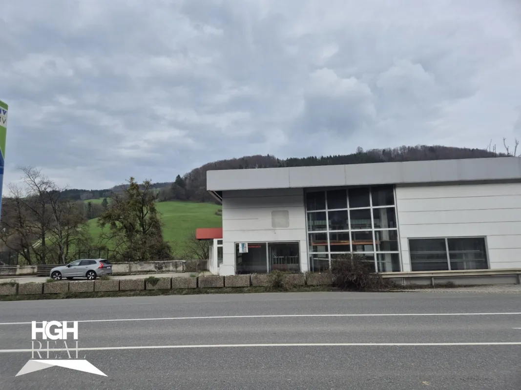 3340 Waidhofen Reifenhalle bzw. KFZ Werkstatt zu vermieten - Bild 1