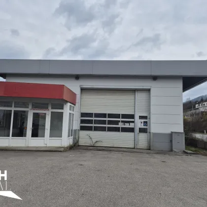 3340 Waidhofen Reifenhalle bzw. KFZ Werkstatt zu vermieten - Bild 3