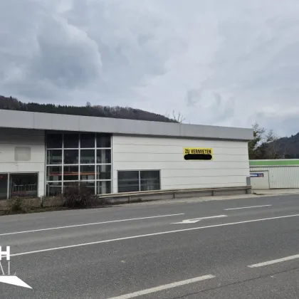 3340 Waidhofen Reifenhalle bzw. KFZ Werkstatt zu vermieten - Bild 2
