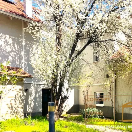 Anlage/Rendite-Immobilien-Projekt. |pure_living. weinviertel with love. - Bild 2