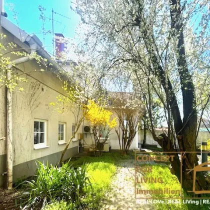 Anlage/Rendite-Immobilien-Projekt. |pure_living. weinviertel with love. - Bild 3