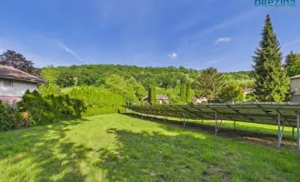 Sonniges Eckgrundstück in Traumlage – Wohnen am Tor zum Rohrwald
