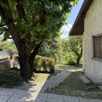 Gartenfreude - Einfamilienhaus mit ca. 137 m² Wfl. in Bad Sauerbrunn zu kaufen! - Bild 3