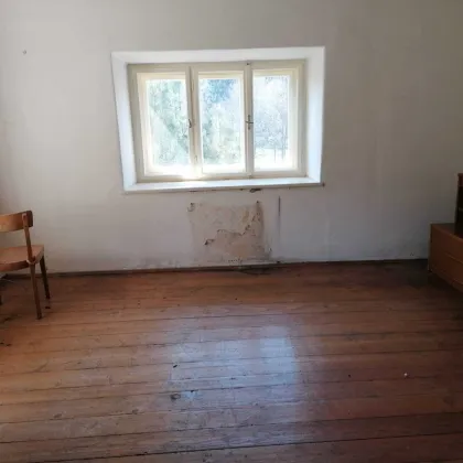 K3 - Entkerntes Haus mit Umbaugenehmigung und Garten - Bild 3