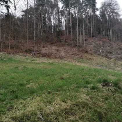 K3 - Grundstück mit Bergpanorama in Velden am Wörthersee - Bild 2