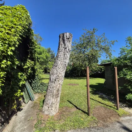 Eckreihenhaus mit Potenzial in Ternitz – Nähe Bahnhof Pottschach - Bild 2