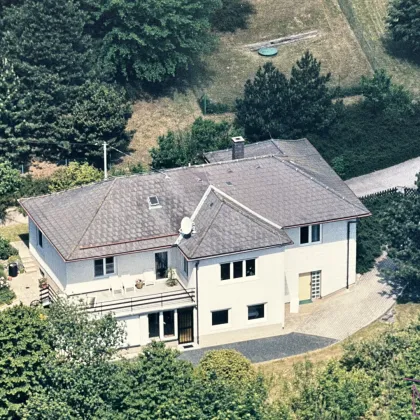 Ruheoase mit eigenem Waldgrundstück - Bild 2