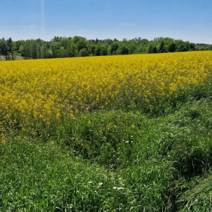 Ackerflächen 5,14 ha Nähe Andorf - Bild 3