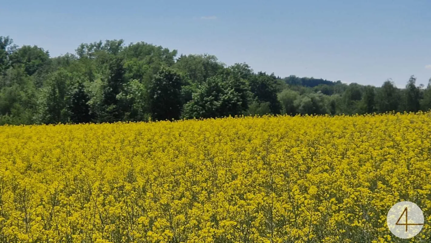 Ackerflächen 5,14 ha Nähe Andorf - Bild 1