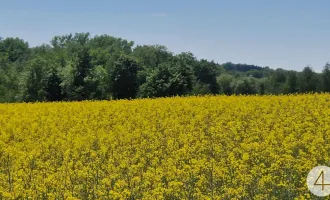Ackerflächen 5,59 ha Nähe Andorf